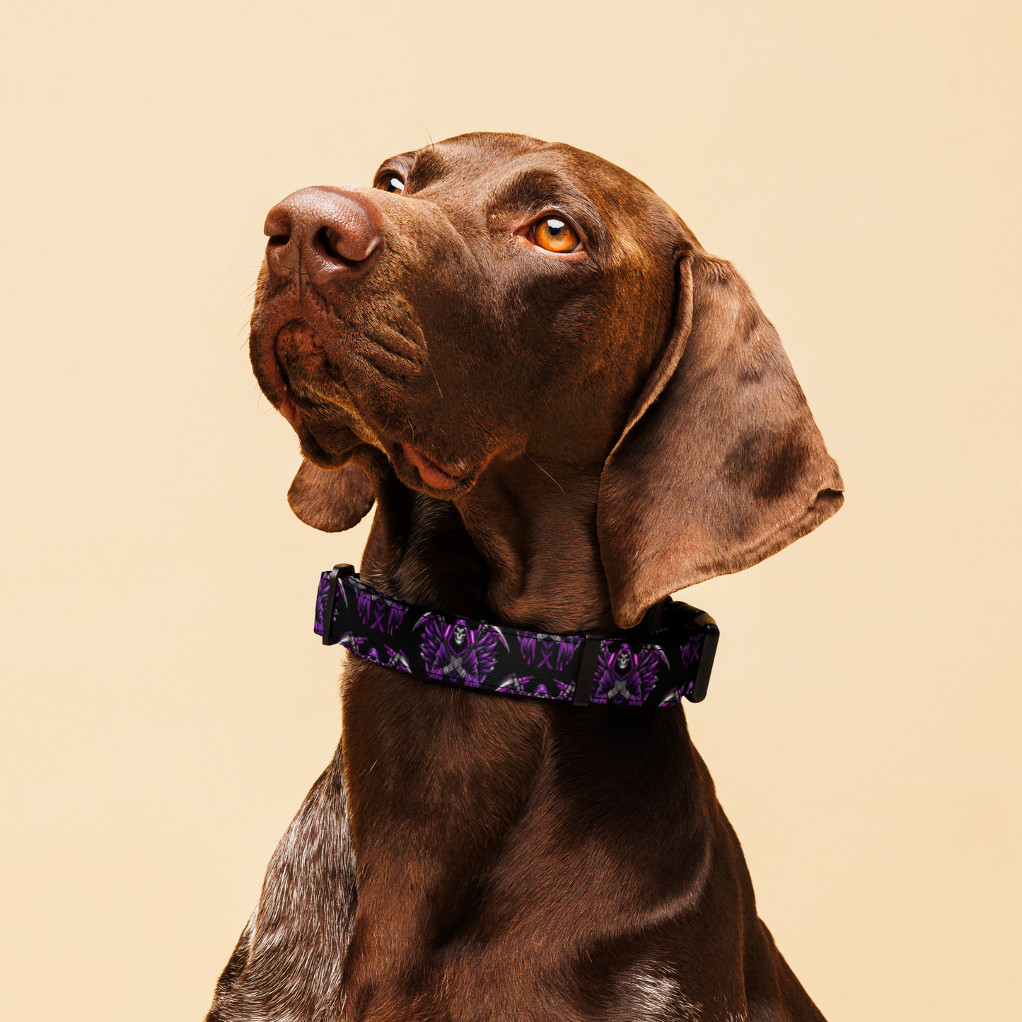 South Side Reapers Dog Collar