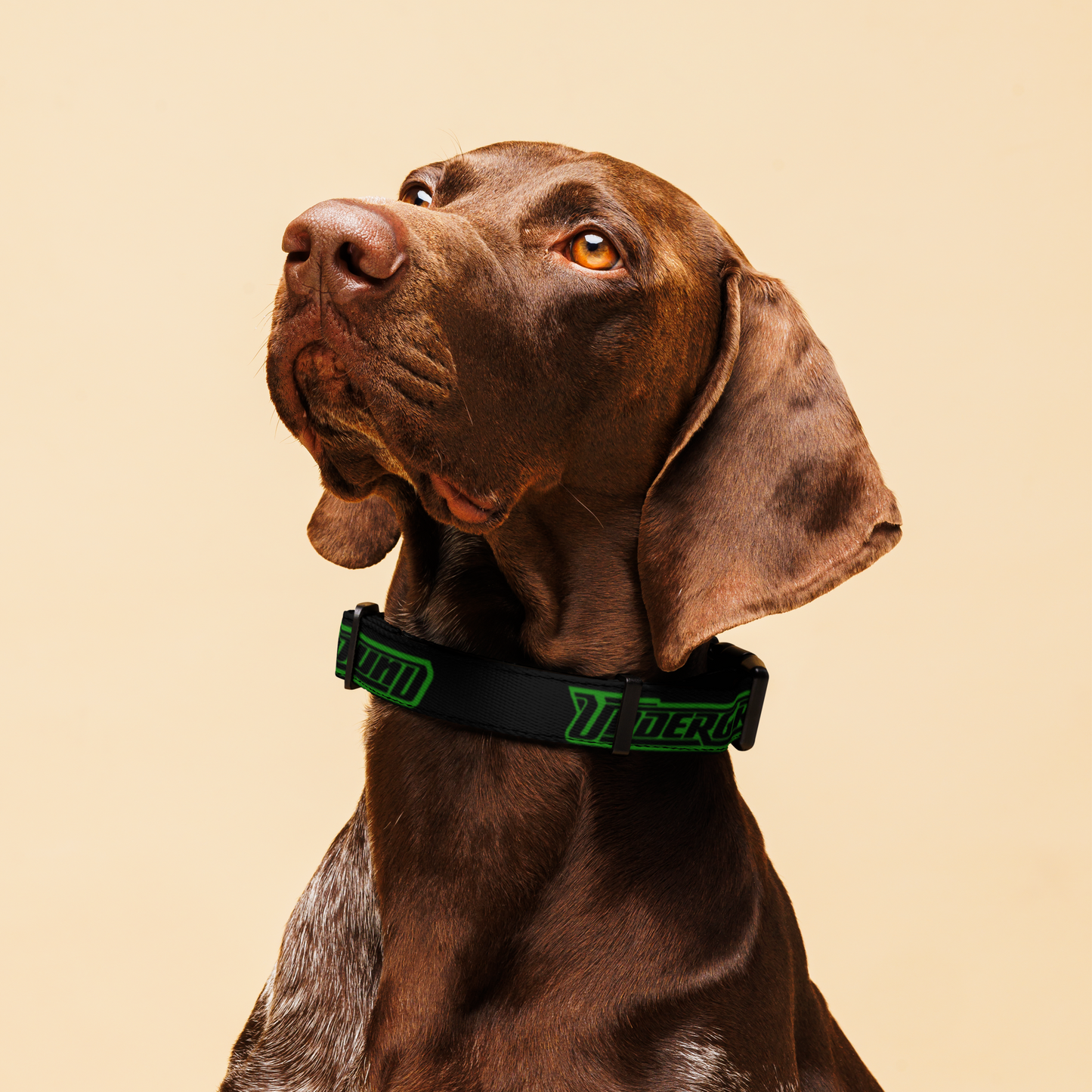 The Underground Dog Collar
