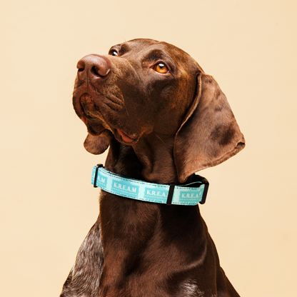 K.R.E.A.M. Dog Collar